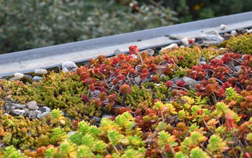 the cost of Edzell Woods green roof installation