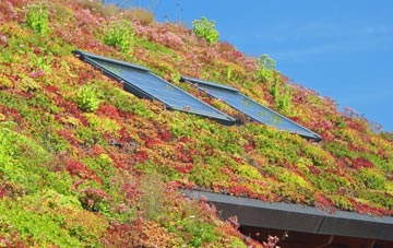 Edzell Woods living roof systems